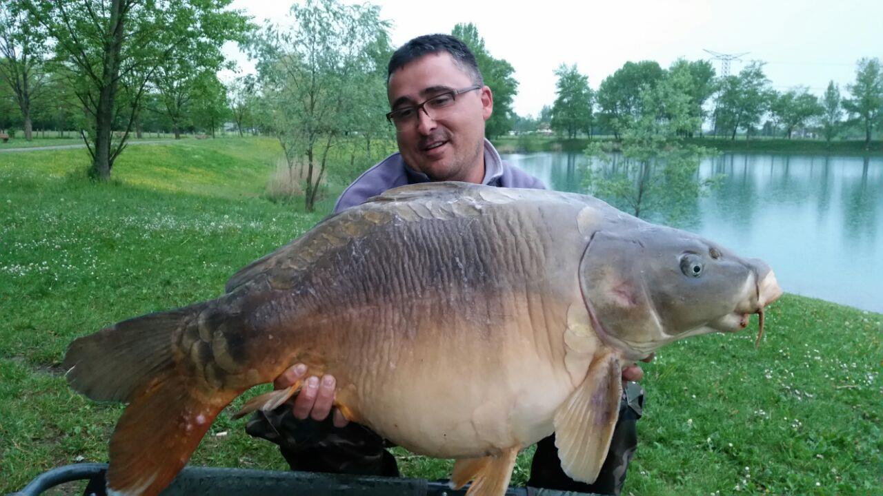 regiune Rhône-Alpes 2 mai. - img-20150503-wa0008.jpg